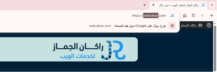 شكل دومين الموقع